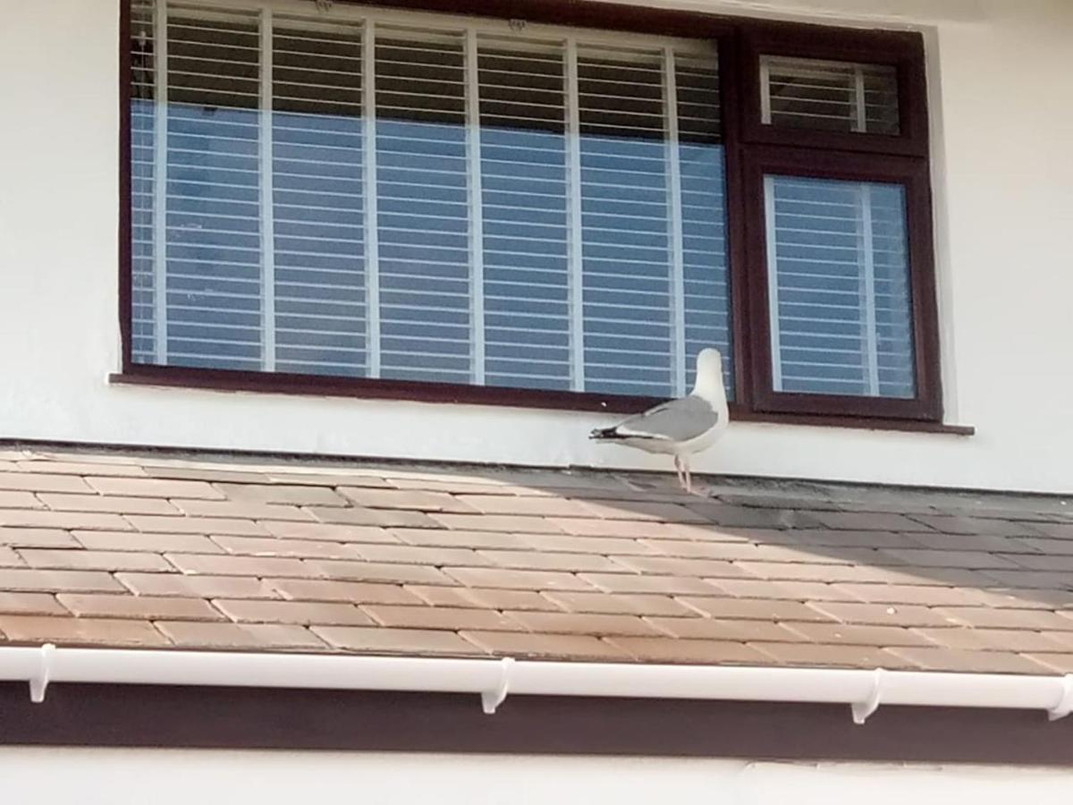 3 Bedroom Deganwy Sea View Beach House Ll31 מראה חיצוני תמונה